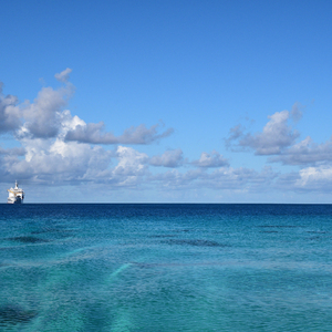 熟妇日本黑毛BwwHD
